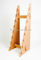 Le présentoir en bois solide simple conçoivent 8 morceaux en fonction du client de planche à roulettes de support d'affichage fournisseur